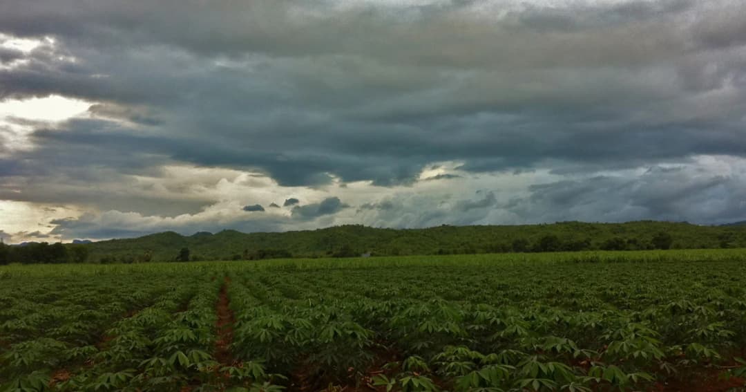 อุตุฯ เตือน ! พรุ่งนี้ “พายุฤดูร้อน” มาเต็ม จัดหนักก่อน 25 จังหวัดทั่วประเทศ