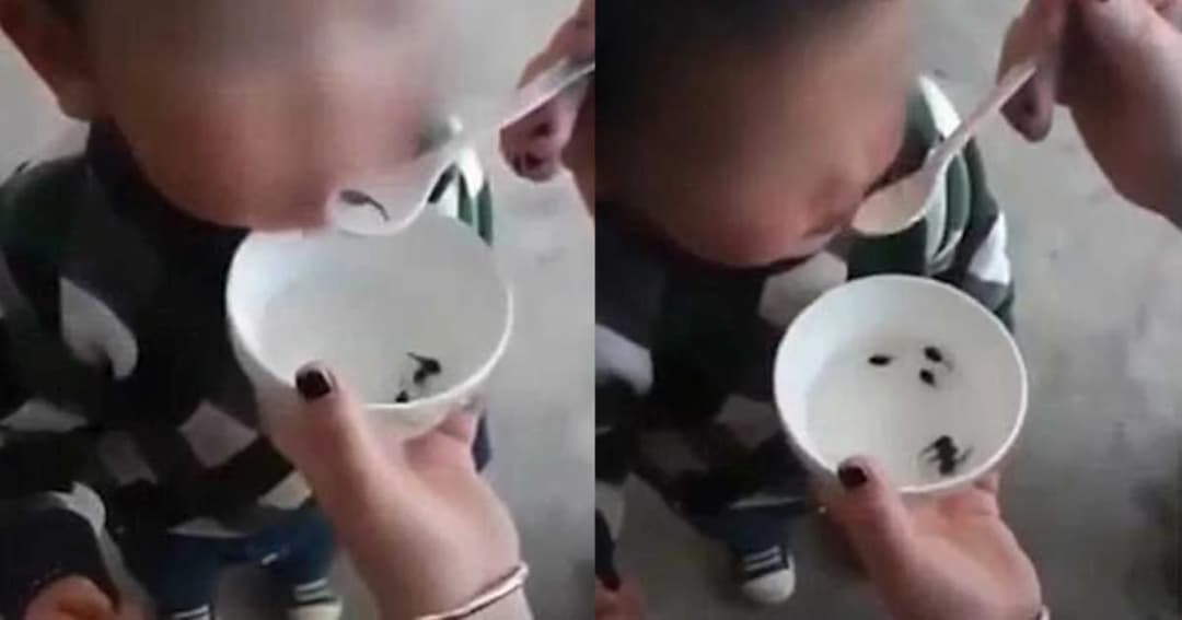 แม่จีนป้อน ‘ลูกอ๊อดสดๆ’ ให้ลูกกิน เชื่อทำให้แข็งแรง (มีคลิป)