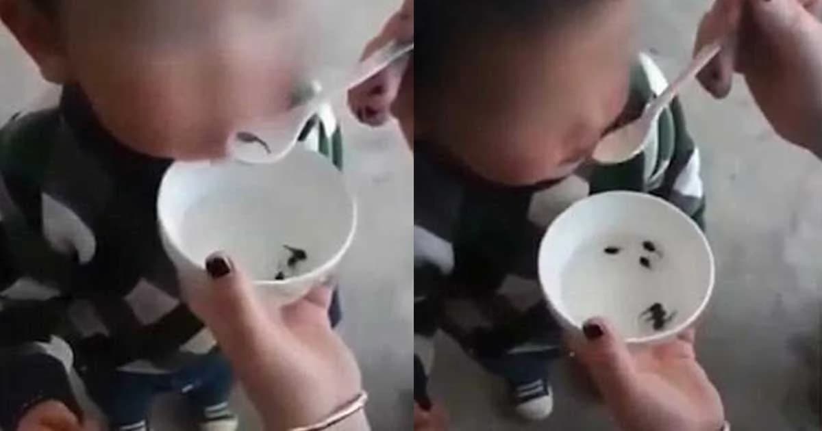 แม่จีนป้อน ‘ลูกอ๊อดสดๆ’ ให้ลูกกิน เชื่อทำให้แข็งแรง (มีคลิป)