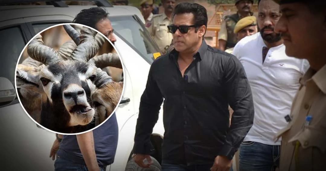 ศาลอินเดีย ตัดสินจำคุก 5 ปี นักแสดงบอลลีวูด ล่ากวางใกล้สูญพันธุ์