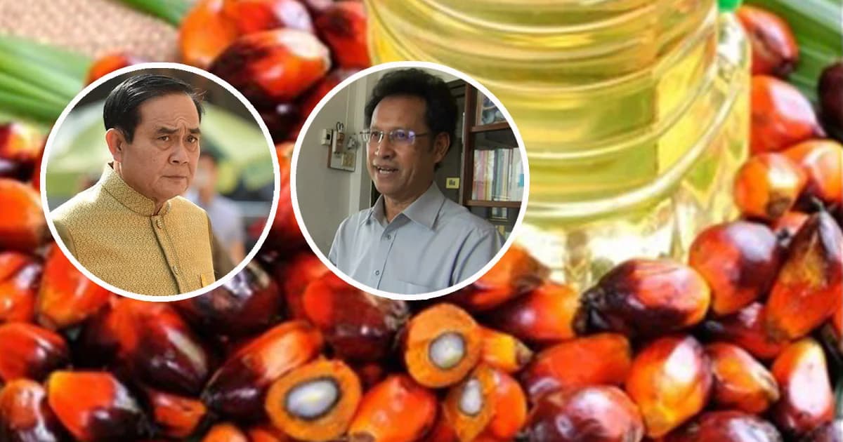 อดีต ส.ส.ปชป.จวกรัฐ แก้ปัญหาปาล์มยืดยาด อีก 2 เดือน ราคาดิ่งเหวแน่