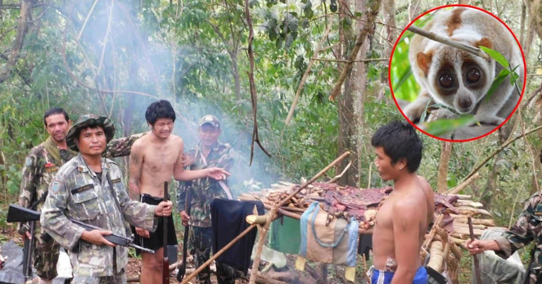 ฝากขัง! แจ้ง 5 ข้อหาหนัก สองพรานล่าสัตว์เปิบหมูป่า-ลิงลมรมควัน