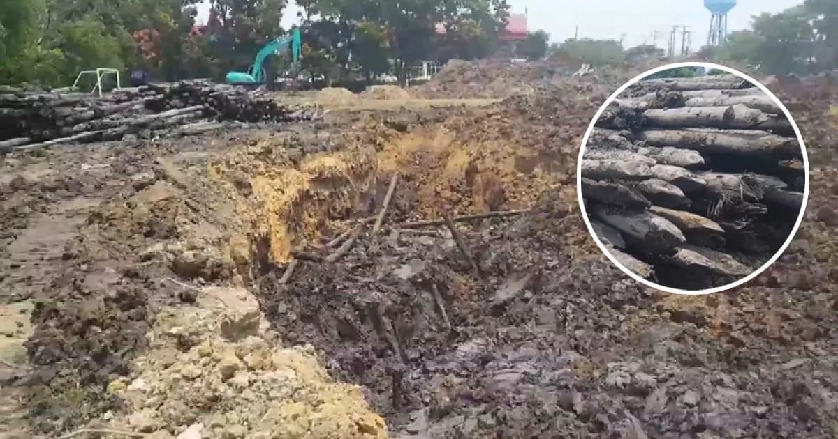 ขุดพบเสาไม้สมัยสงครามโลกครั้งที่ 2 ฝังดินอยู่กว่า 500 ท่อน