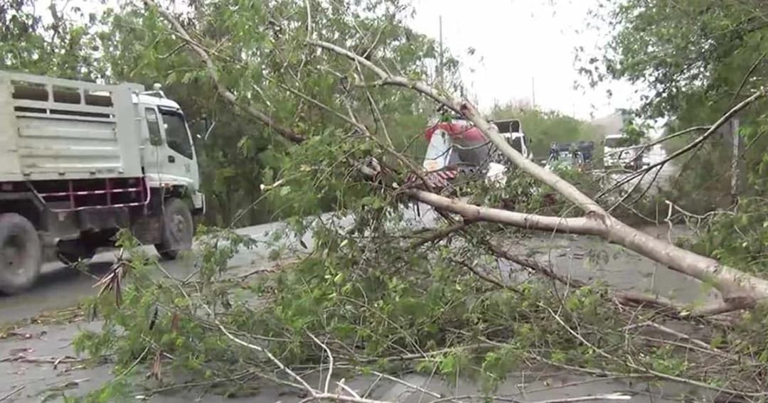 รถสัญจรลำบาก พายุหมุนทำต้นไม้ล้มหลายจุด
