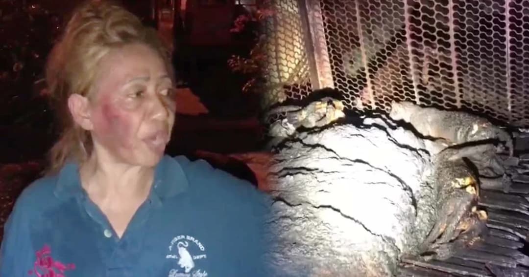 ไฟไหม้กรงแมว ตายสลด 12 ตัว คาดคนทิ้งก้นบุหรี่ข้างทาง