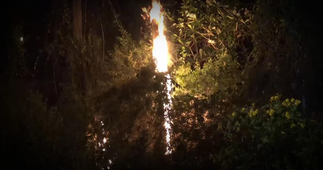 ไฟไหม้ป่าละเมาะริมถนนสงขลา ลุกลามติดเสาไฟ-สายเคเบิ้ลเสียหาย