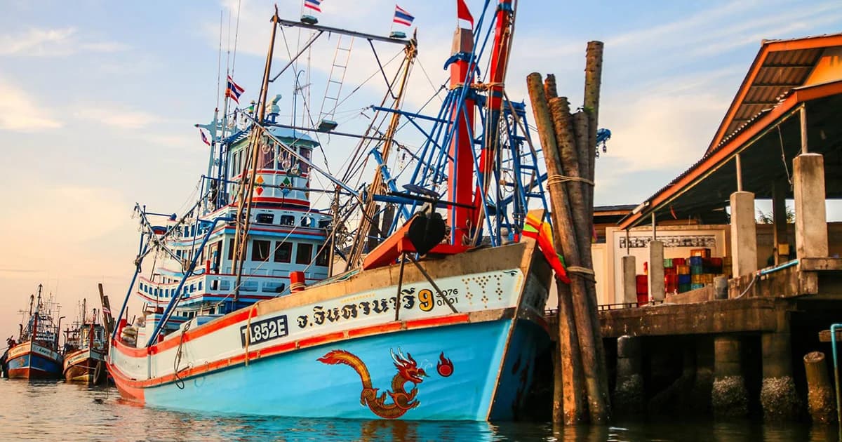 ประมงพาณิชย์นัดหยุดหาปลา เรียกร้องรัฐบาลทบทวนกฎหมาย