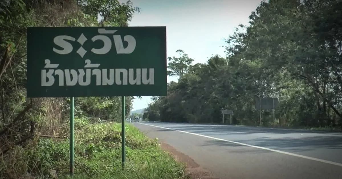 จนท.เร่งติดป้ายเตือน ป้องกันรถชนสัตว์ป่าช่วงสงกรานต์