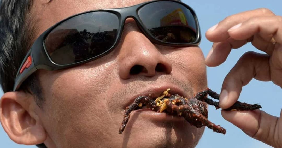 เราอาจหากิน ‘แมงมุมทารันทูล่าทอด’ ในกัมพูชาได้ยากขึ้น