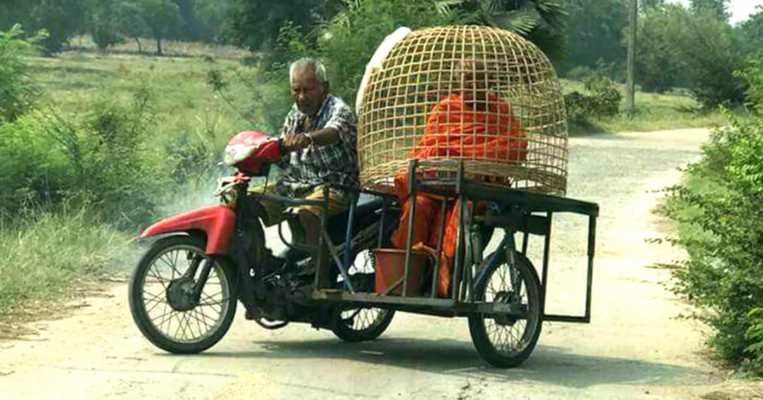 เมื่อหลวงตา จำเป็นต้องนั่งบน จยย.พ่วงข้าง ที่มีสุ่มใบใหญ่