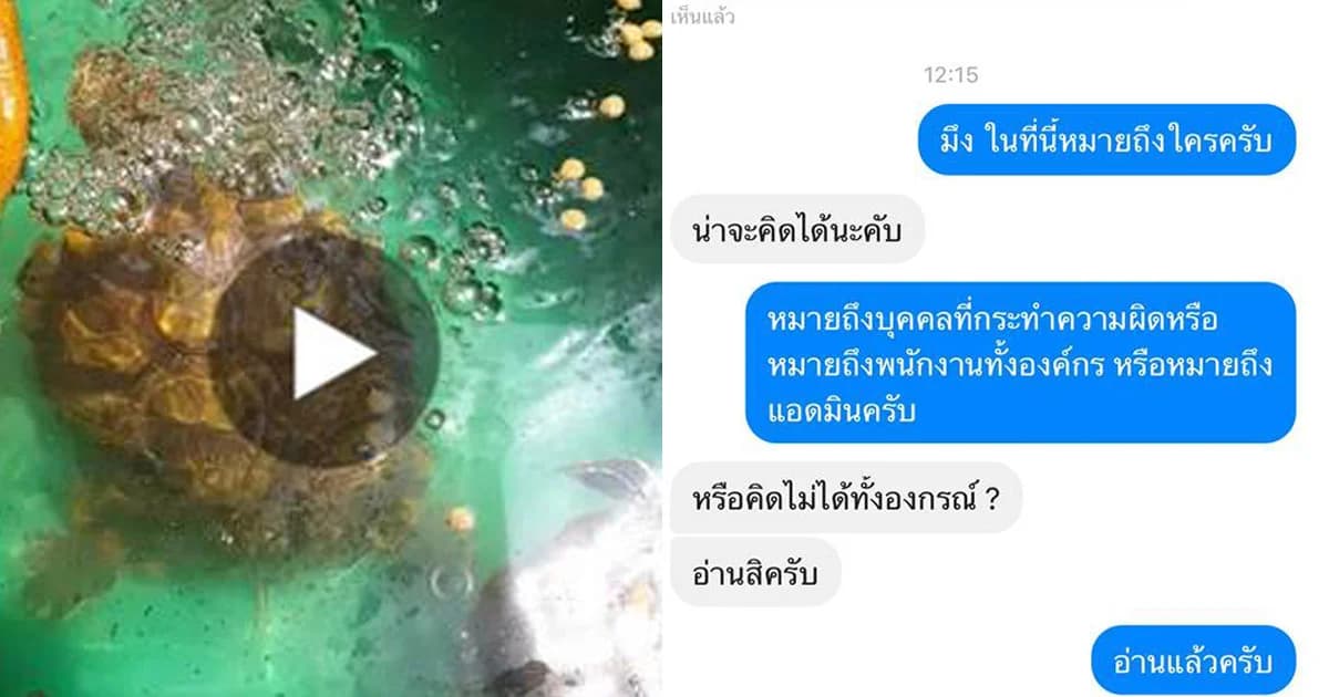 หักมุมสุดๆ ! หนุ่มแชตด่าเพจ “สพฉ.” แต่แอดมินชวนคุยเรื่องเต่า สุดท้ายจบด้วยดี