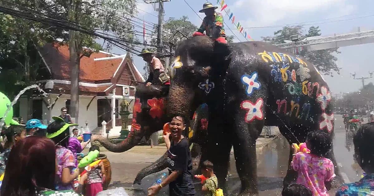 คึกคัก ! สงกรานต์อยุธยา นทท.แห่เล่นน้ำกับช้าง