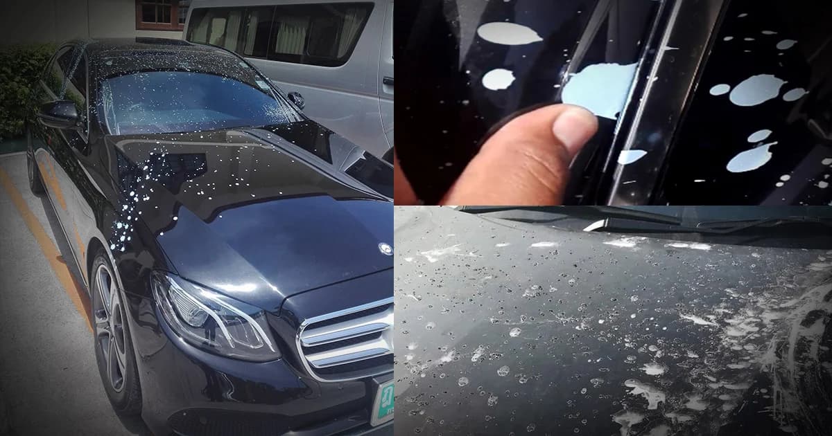 หนุ่มสุดเซ็ง ! เจอสงกรานต์พิเรนทร์ใช้น้ำมันเบรก-สีทาบ้าน สาดใส่เบนซ์หรู