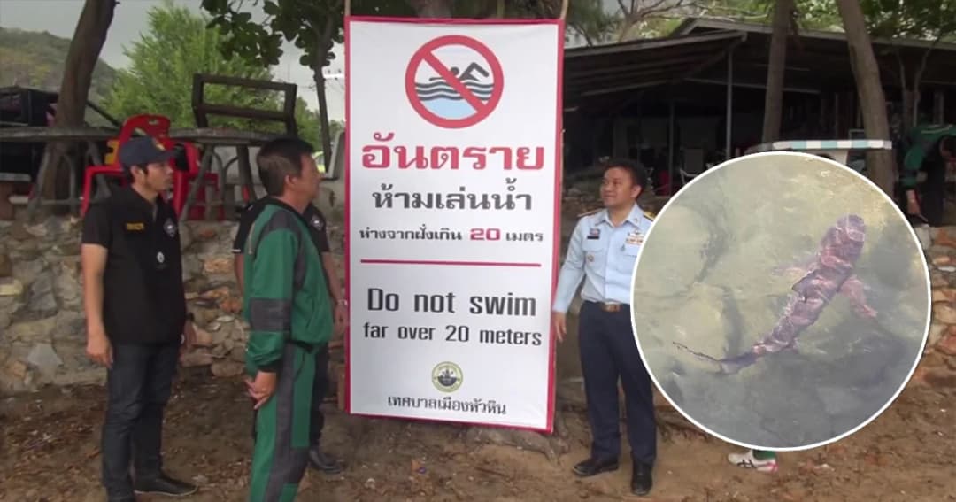 ผู้ว่าฯ สั่งปิดหาดทรายน้อยชั่วคราว ติดตั้งทุ่น-วางตาข่ายสำรวจฉลาม
