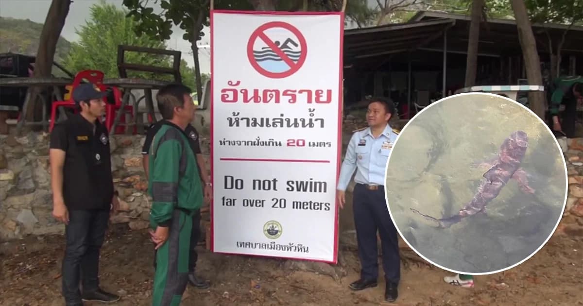 ผู้ว่าฯ สั่งปิดหาดทรายน้อยชั่วคราว ติดตั้งทุ่น-วางตาข่ายสำรวจฉลาม