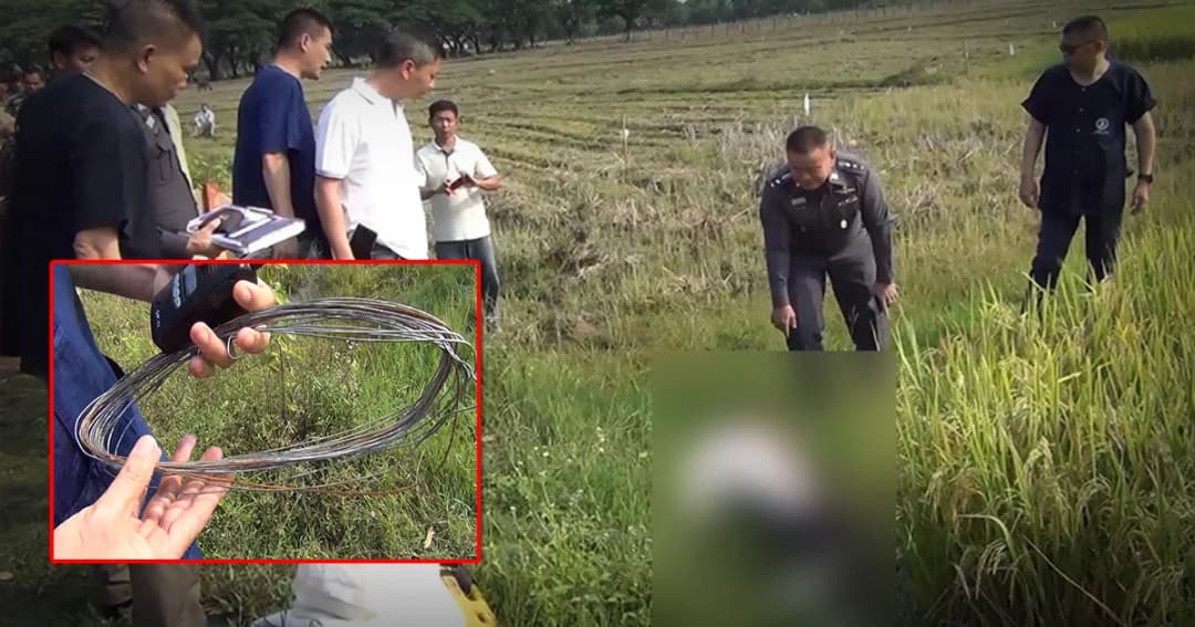 อุทาหรณ์ ! ขึงสายไฟนาข้าวดักหนู ป้าเคราะห์ร้ายออกหากบถูกช็อตดับ