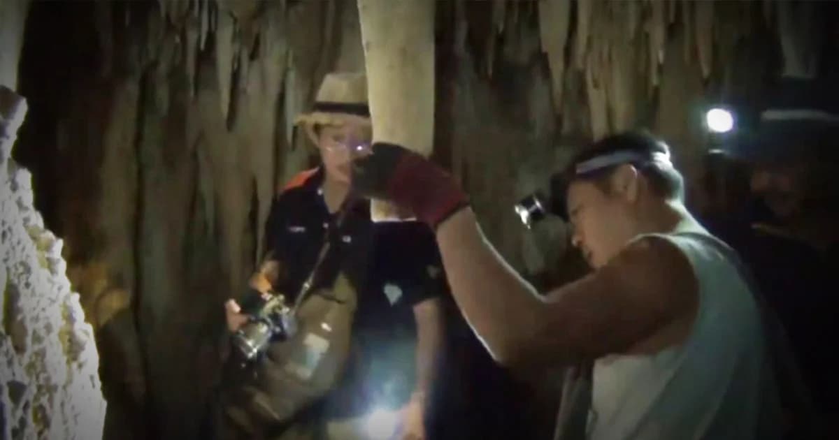 ขึ้นป้าย ! ห้ามเข้าถ้ำเขานาพรุ หลังมือดีขโมยตัดหินงอกหินย้อย