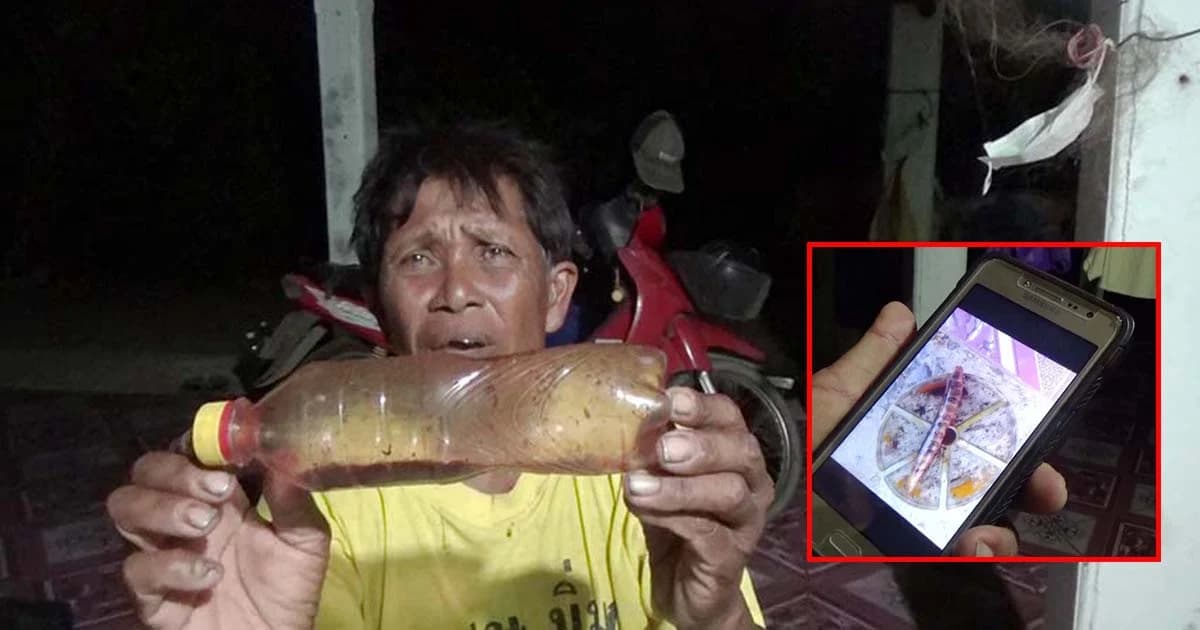 ผวาปลิงประหลาด ดูดเลือดไหลไม่หยุด เคยมีคนถูกกัดตาย