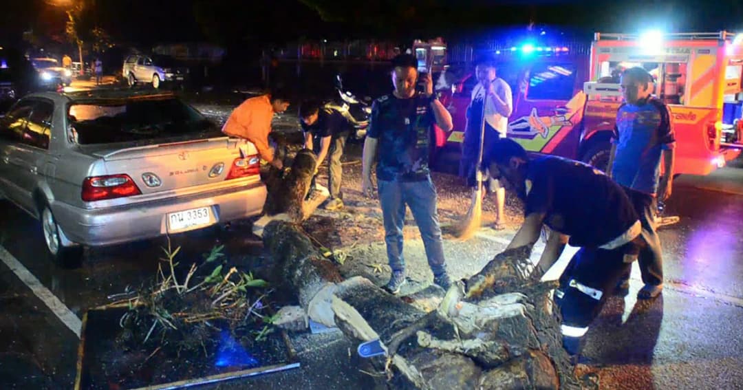 พายุถล่มเชียงราย พัดต้นไม้หักโค่น ทับเก๋งพังยับ