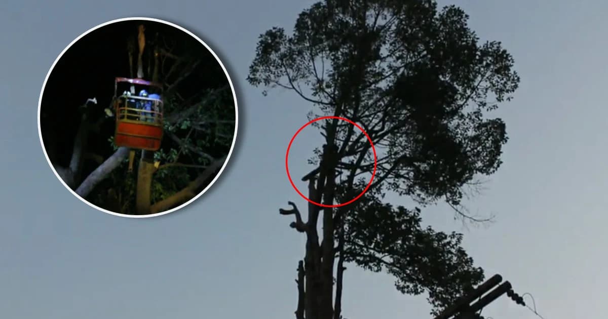 4 ชม.ระทึก! ช่วยชีวิตหนุ่มปีนตัดต้นยางนาสูง40ม. ถูกไม้ดีดทับคาต้น