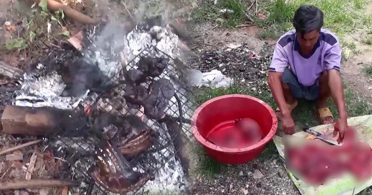 รอพิสูจน์ซาก จ่อดำเนินคดีชาวบ้านฆ่าหมาย่างกินกลางวงเหล้า