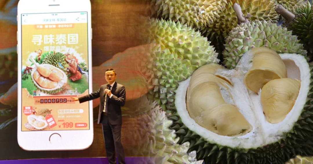 อึ้ง ! จีนแห่ซื้อทุเรียนไทย เว็บอาลีบาบา 8 หมื่นลูก ใน 1 นาที