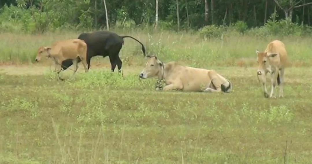 ผู้ว่าฯ ตรังลุยสอบสนามกีฬาทุ่งค่าย ใช้งบ 25 ล้าน 4 ปีไม่แล้วเสร็จ