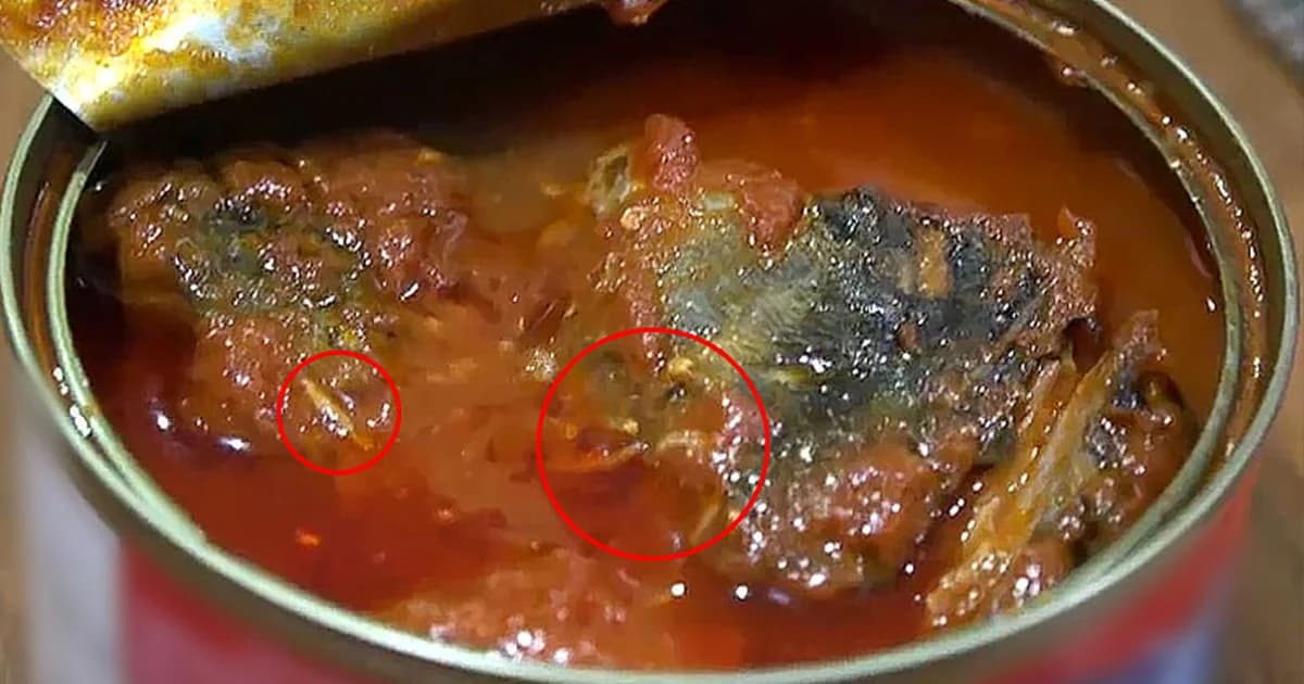 สยอง ! เจอหนอนยั้วเยี้ยในปลากระป๋องยี่ห้อดัง จ่อฟ้อง สคบ.