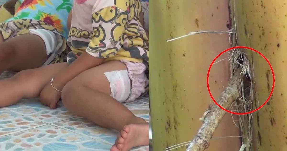 ยิงปืนในขบวนขันหมาก นครนายก พลาดถูกเด็กน้อยเจ็บ 3 คน