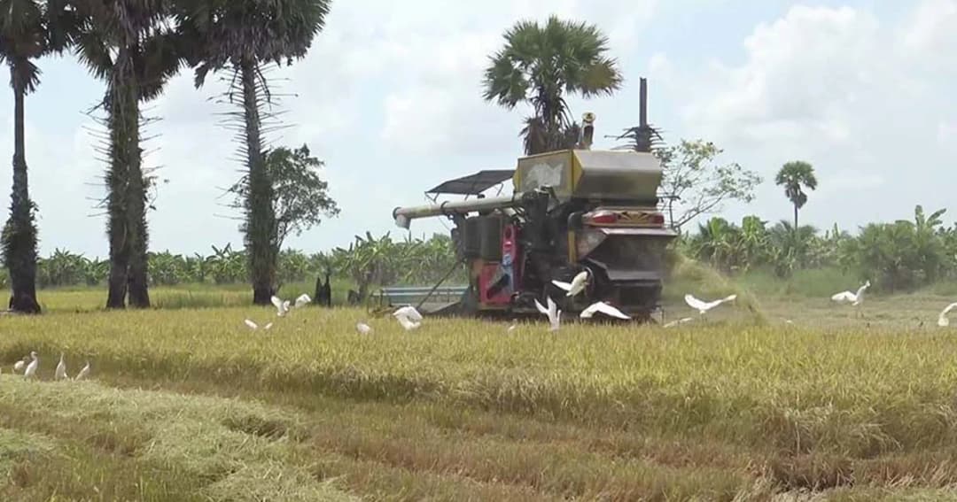 ระทม ! ชาวนาวอนรัฐบาลตั้งกองทุนสงเคราะห์ชาวนา