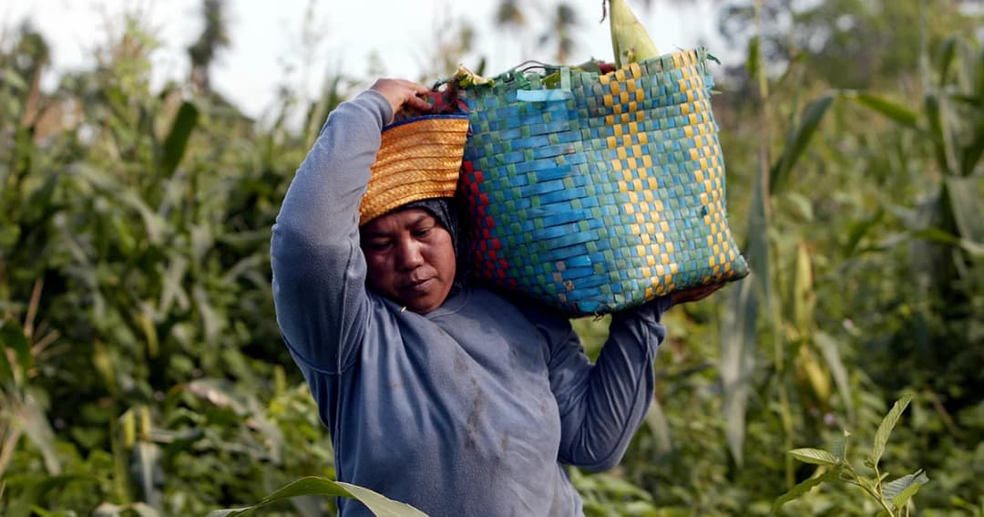 แบงก์ชาติแนะรัฐบาล ‘อุดหนุนราคาเกษตร’ เสียงบประมาณ ไร้ประโยชน์ แก้ปัญหาไม่ได้