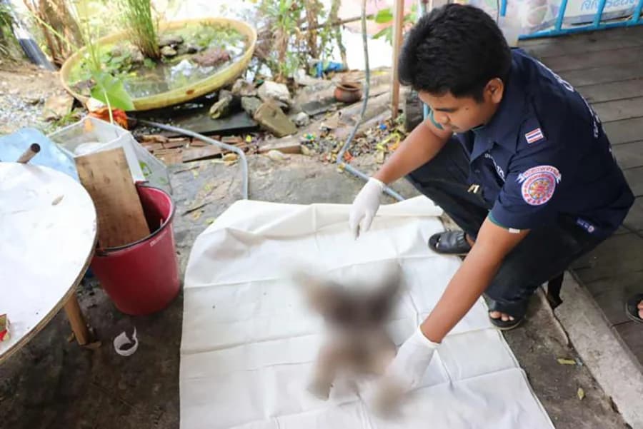 พบศพทารกวัย 2 เดือน ถูกตัวเงินตัวทองกัดเละ