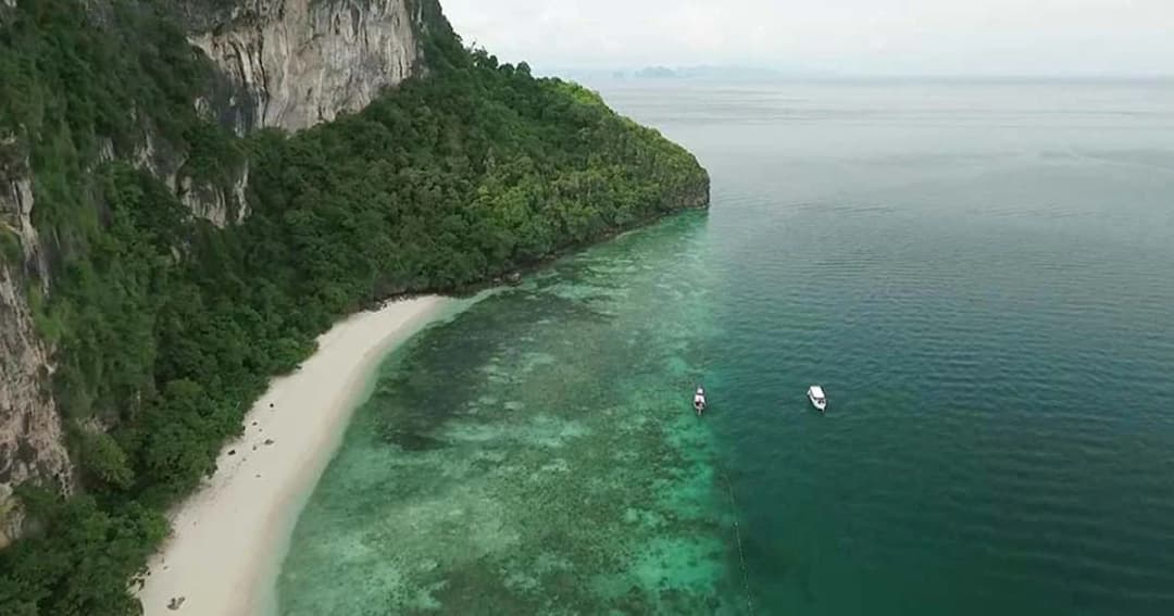 ข่าวดี ! ปะการังฟื้นตัวดี หลังปิดเกาะยูง 2 ปี