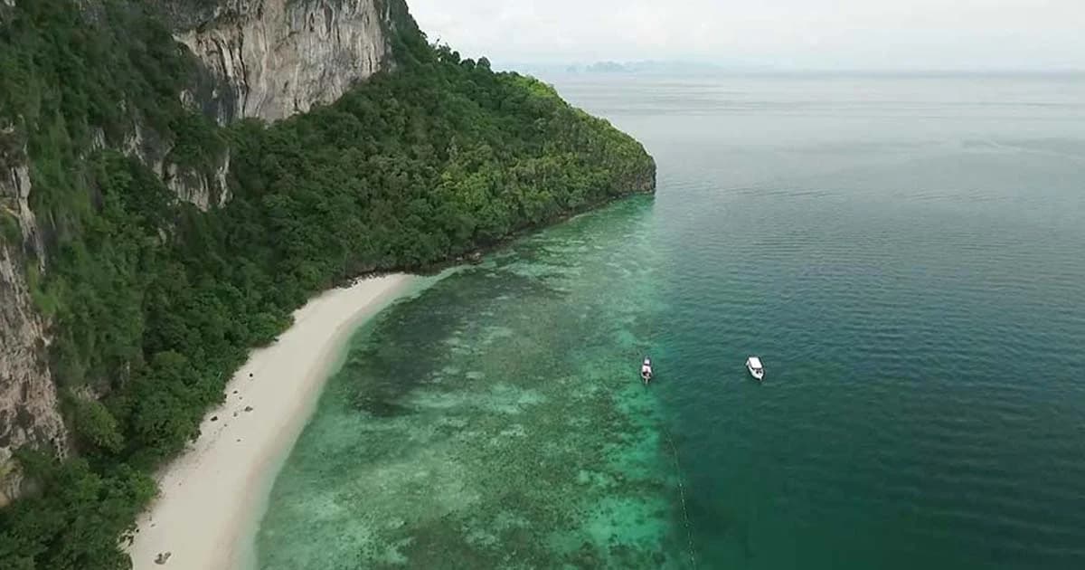ข่าวดี ! ปะการังฟื้นตัวดี หลังปิดเกาะยูง 2 ปี