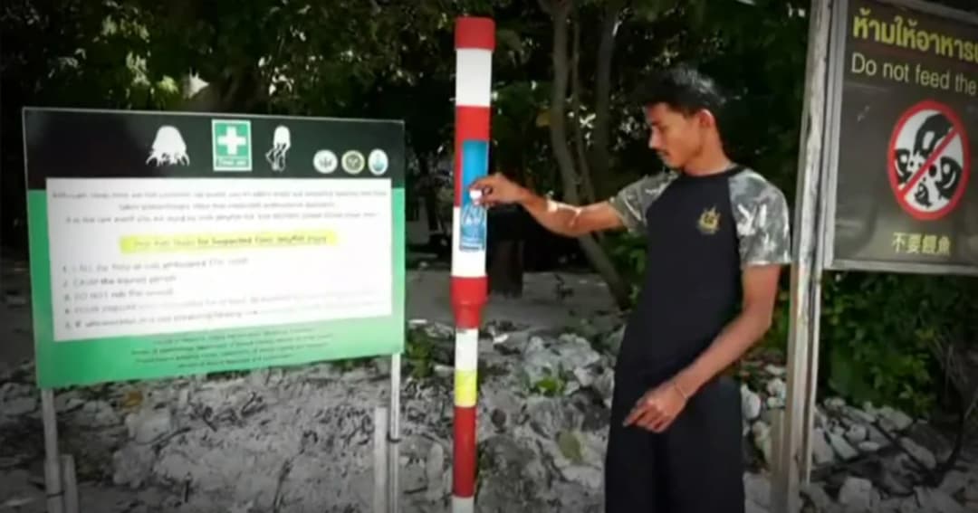 เตือนนักท่องเที่ยวเกาะห้อง ระวังแมงกะพรุนพิษช่วงมรสุม