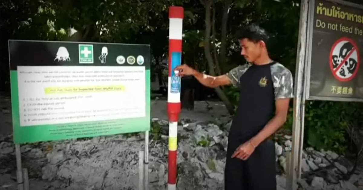 เตือนนักท่องเที่ยวเกาะห้อง ระวังแมงกะพรุนพิษช่วงมรสุม