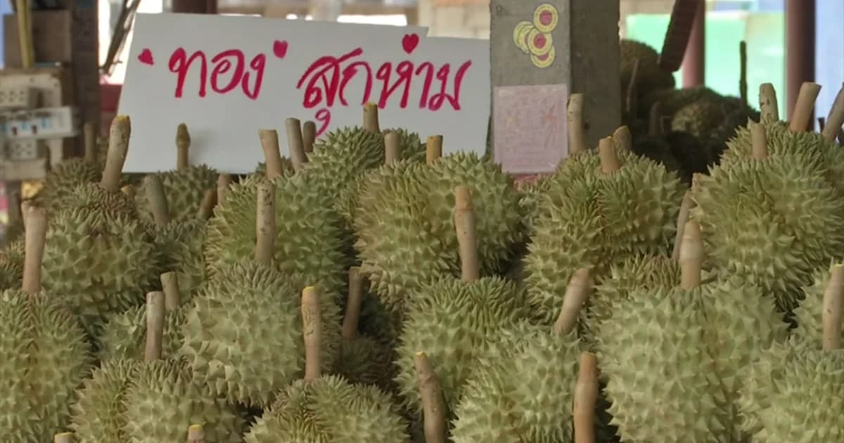 ราคา “ทุเรียน” พุ่งสูงสุดในรอบ 3 ปี เฉลี่ยเกิน 100 บาทต่อกิโลกรัม