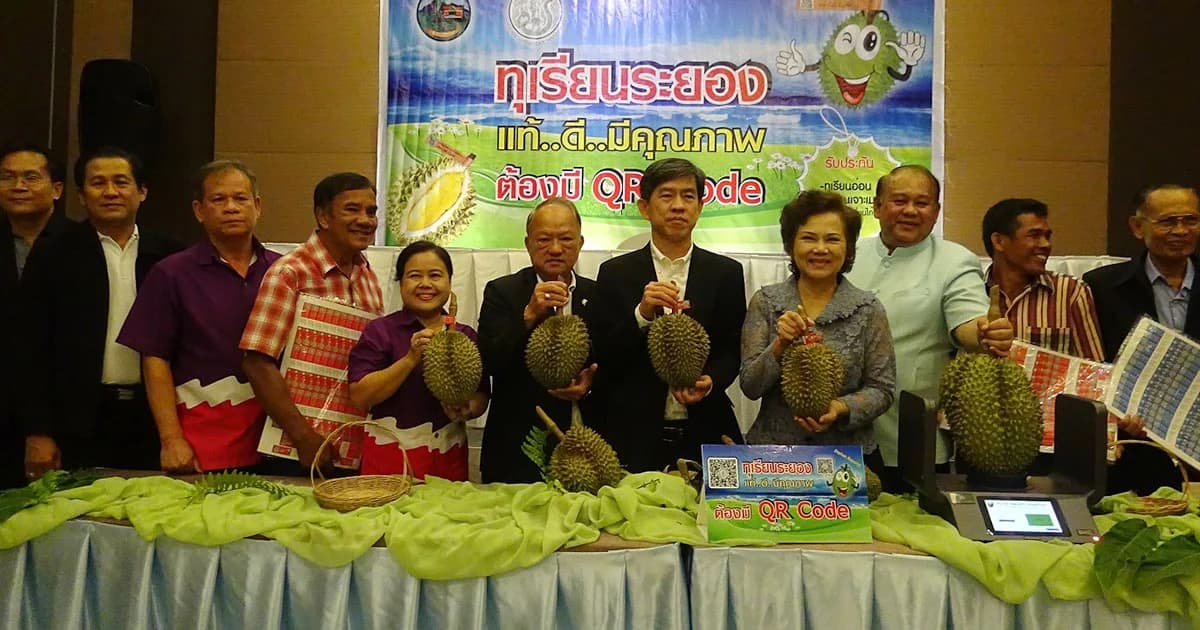 ‘ระยอง’ ติดคิวอาร์โค้ดทุเรียน สกัดทุเรียนด้อยคุณภาพ