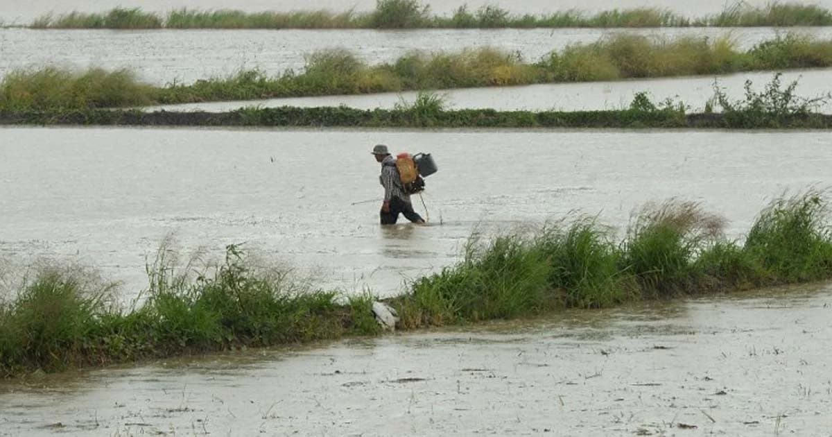 ดีเดย์ 1 พ.ค. ปล่อยน้ำลง 12 ทุ่งเจ้าพระยาตอนล่าง เลื่อนเพาะปลูกเร็วขึ้น 1 เดือน