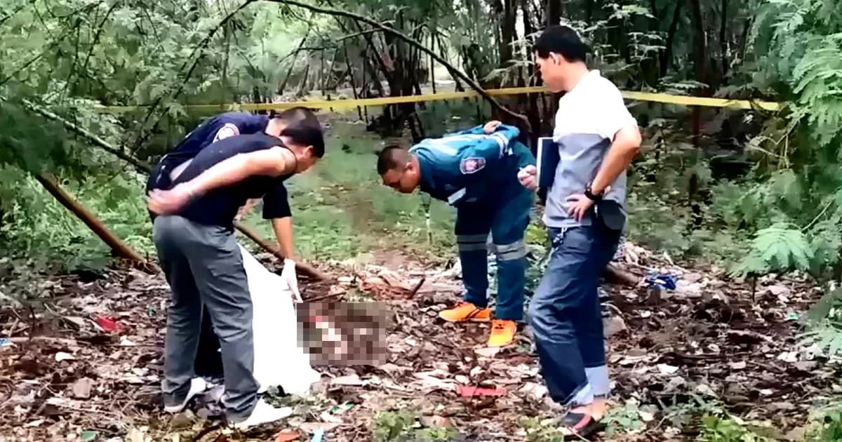 สุนัข 2 ตัว รุมกัดเด็กทารก จนตาย