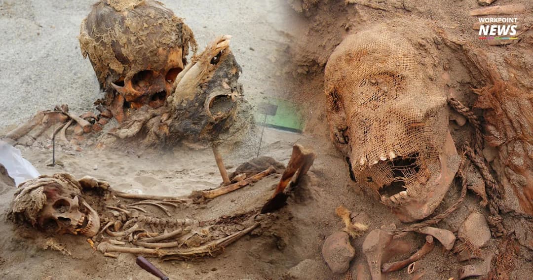 พบซากศพนับร้อยๆ ศพในเปรู คาด เหยื่อบูชายัญหมู่โบราณเมื่อ 550 ปีก่อน