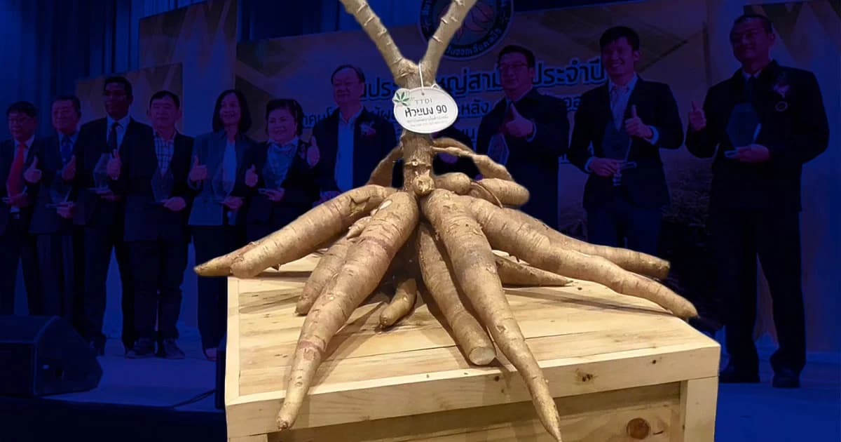 รมว.พาณิชย์ ประชุมใหญ่สมาคมมันฯ ผลักดันให้ไทย เป็นมหาอำนาจมันสำปะหลังโลก