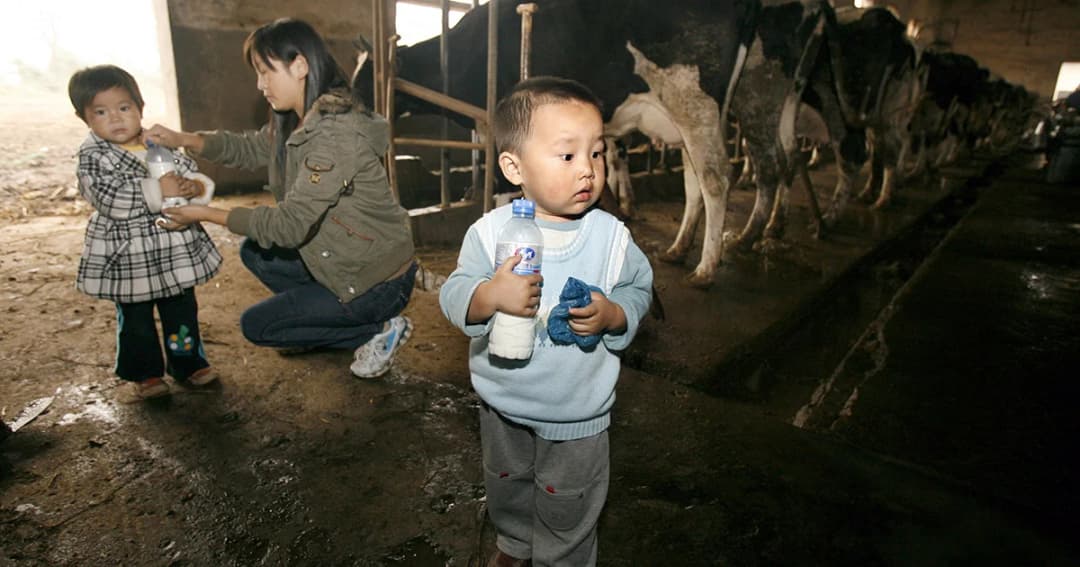 ความต้องการนมที่เพิ่มมากขึ้นในจีนอาจทำลายสิ่งแวดล้อม
