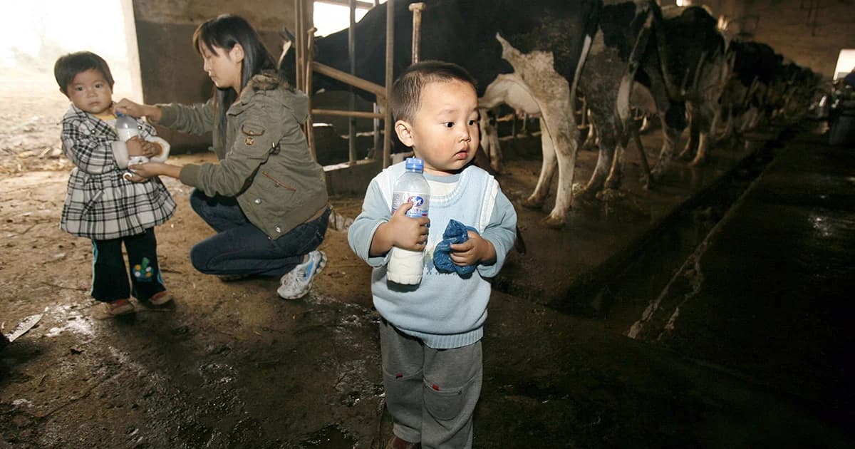 ความต้องการนมที่เพิ่มมากขึ้นในจีนอาจทำลายสิ่งแวดล้อม
