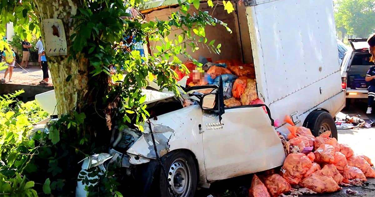 กระบะบรรทุกไก่สด เสียหลักชนต้นไม้ คนขับดับคาที่