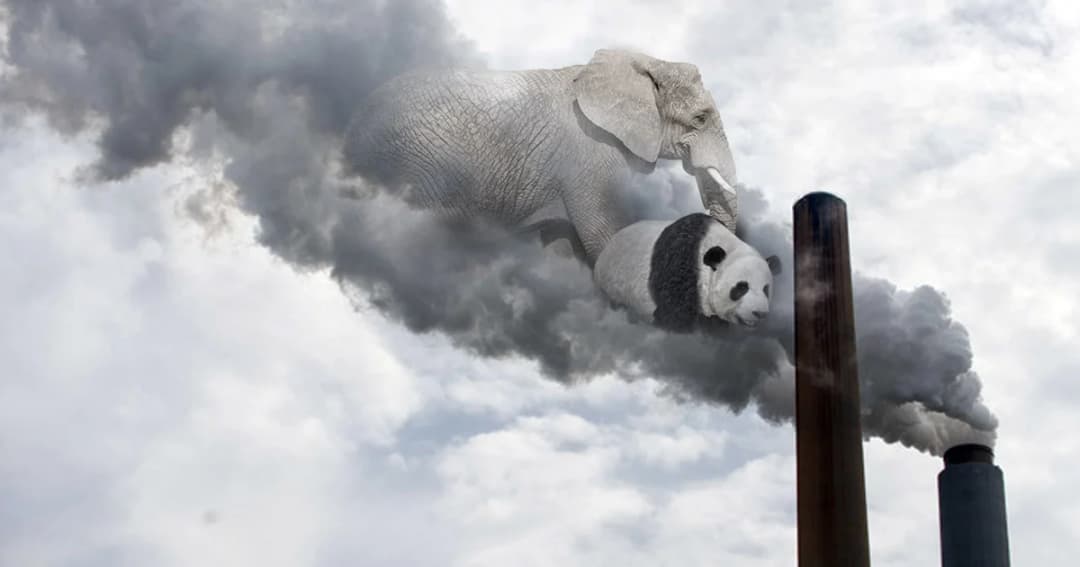 สายพันธุ์สัตว์เกือบครึ่งเสี่ยงสูญพันธุ์ภายใน 60 ปี เพราะโลกร้อน