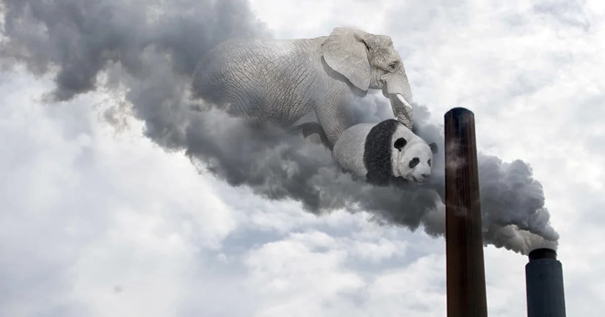 สายพันธุ์สัตว์เกือบครึ่งเสี่ยงสูญพันธุ์ภายใน 60 ปี เพราะโลกร้อน