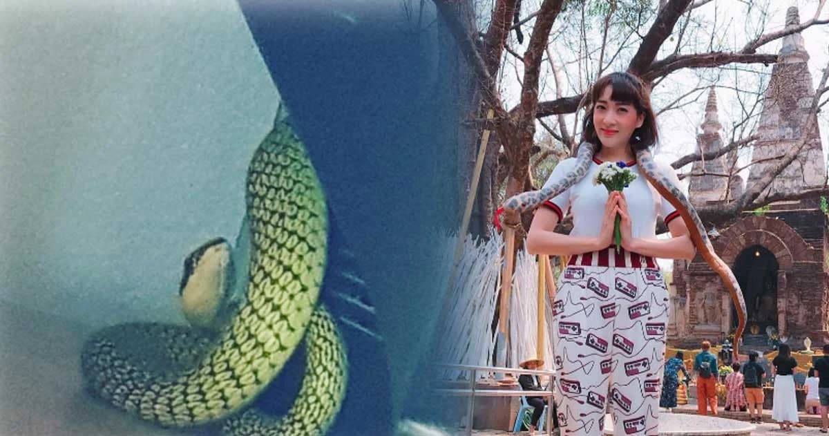 “เฟี้ยว์ฟ้าว” ตกใจ งูตัวใหญ่โผล่ หลังสวดมนต์เสร็จ ทำแฟนๆ ถูกหวยเพียบ