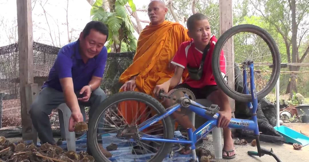 ไอเดียบ้านๆ แต่ได้ผล นำล้อรถจักรยานปั่นเมล็ดออกจากดอกทานตะวัน