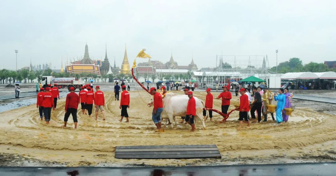 กระทรวงเกษตรฯ พร้อมจัดงานพระราชพิธีพืชมงคลฯ
